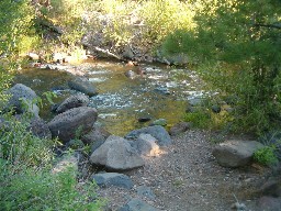 The Rayado at Rayado River Camp